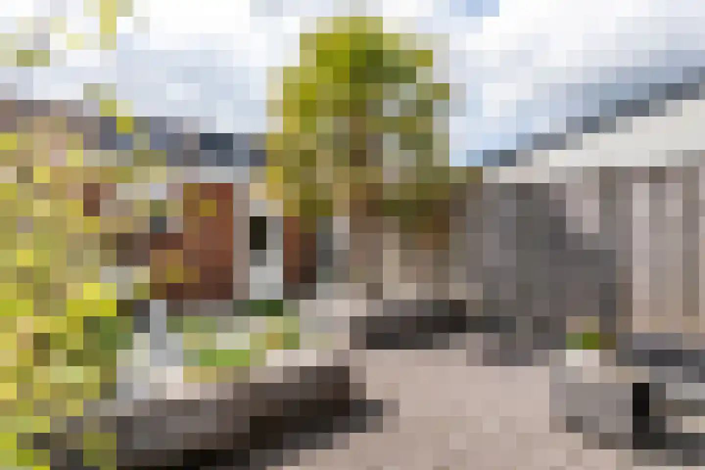 Aardbeivlinder 124 Tiel thumbnail 25