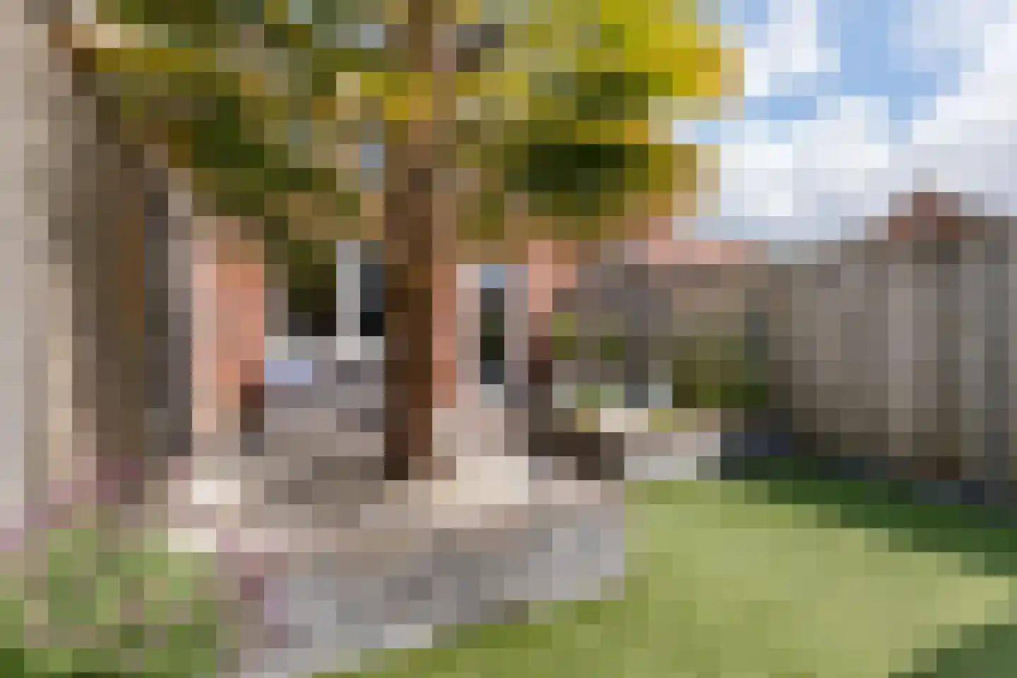 Aardbeivlinder 124 Tiel thumbnail 26
