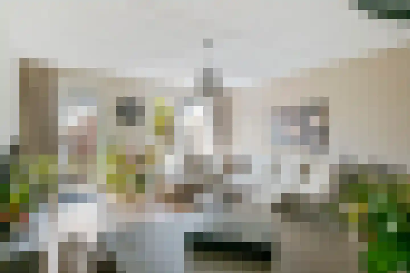 Aardbeivlinder 124 Tiel foto 3
