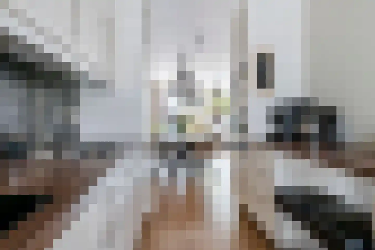 Aardbeivlinder 124 Tiel thumbnail 4
