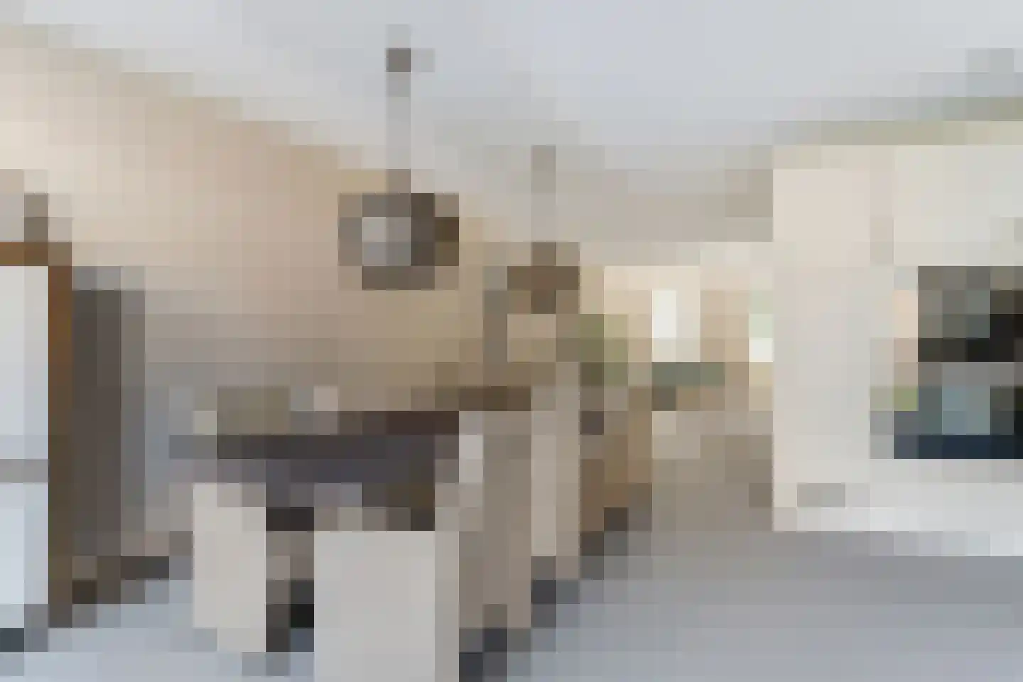 Aardbeivlinder 125 Tiel thumbnail 10