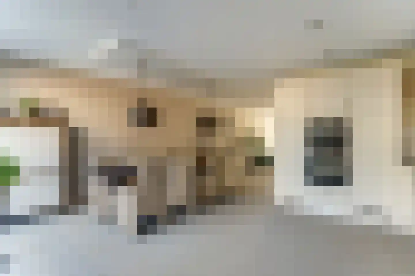 Aardbeivlinder 125 Tiel thumbnail 11