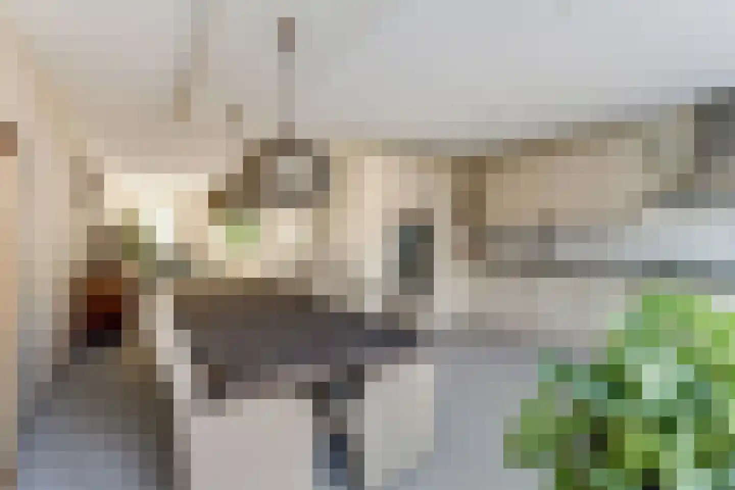 Aardbeivlinder 125 Tiel thumbnail 12