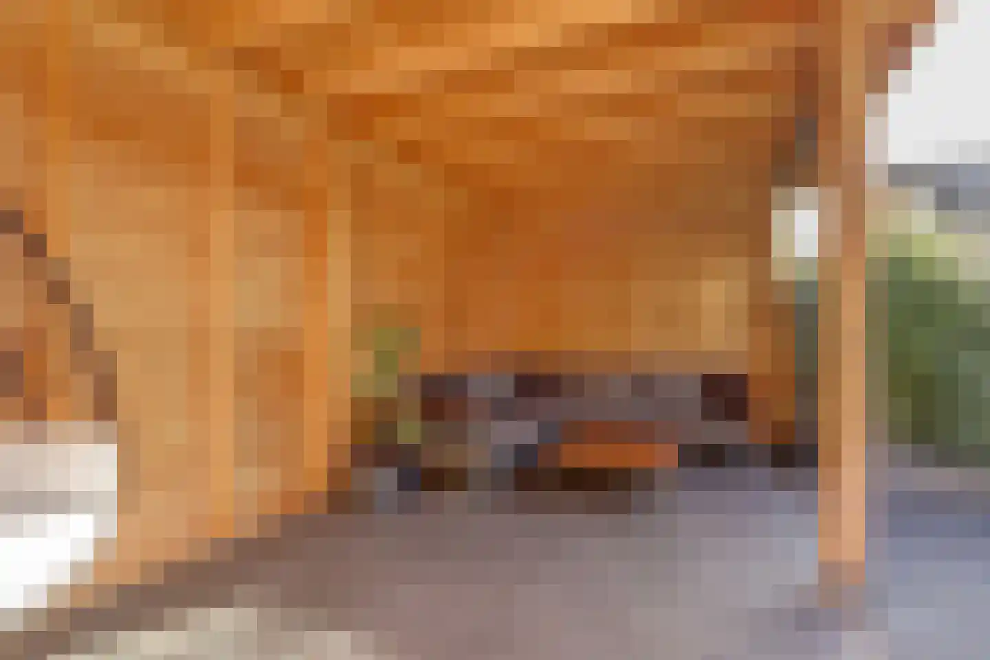 Aardbeivlinder 125 Tiel thumbnail 39