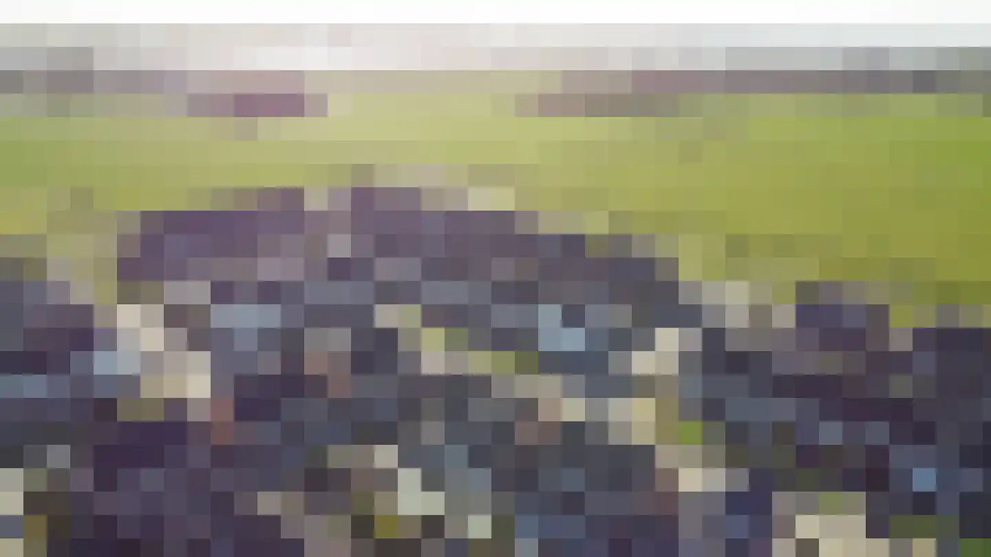 Aardbeivlinder 125 Tiel thumbnail 50