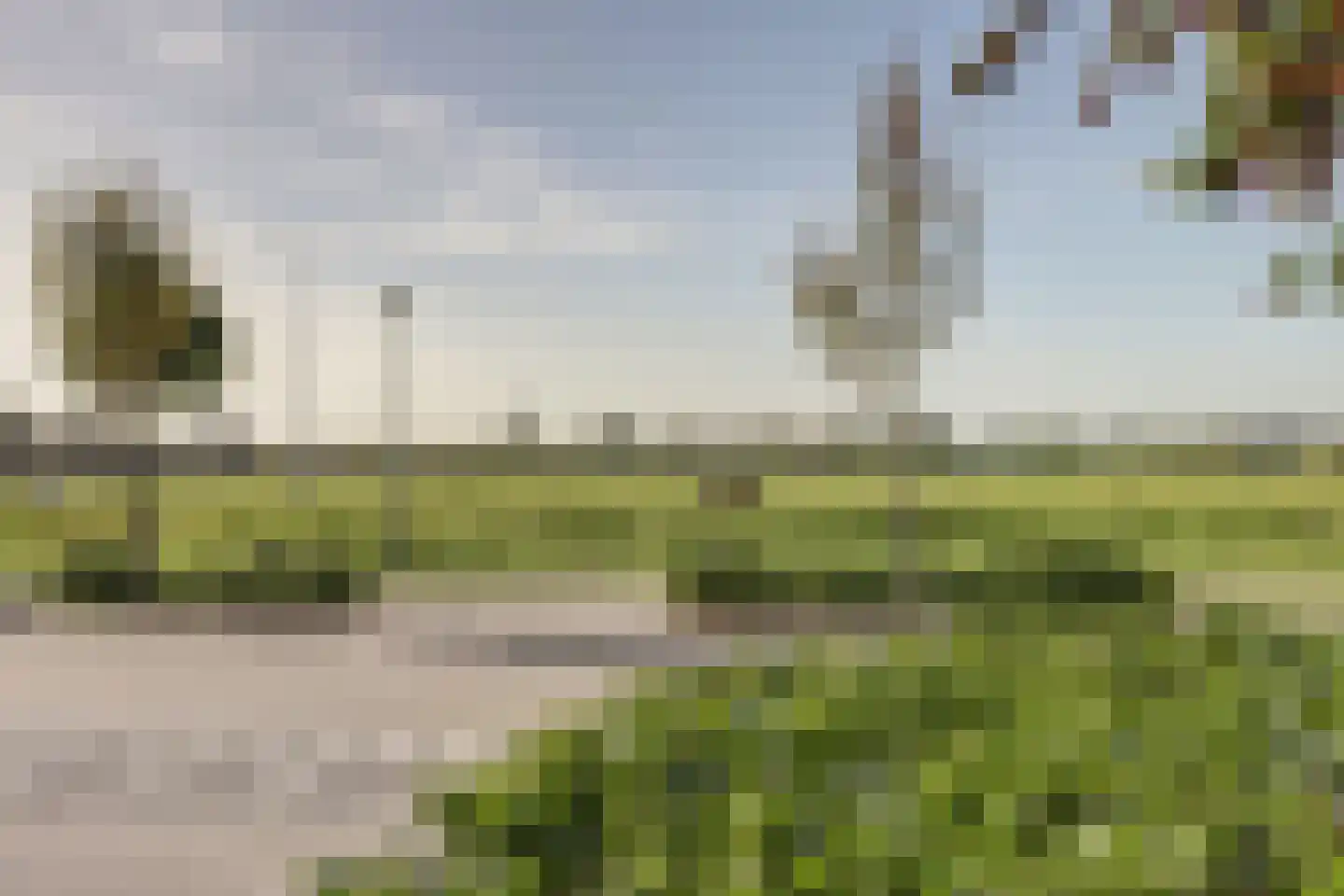 Aardbeivlinder 125 Tiel thumbnail 52