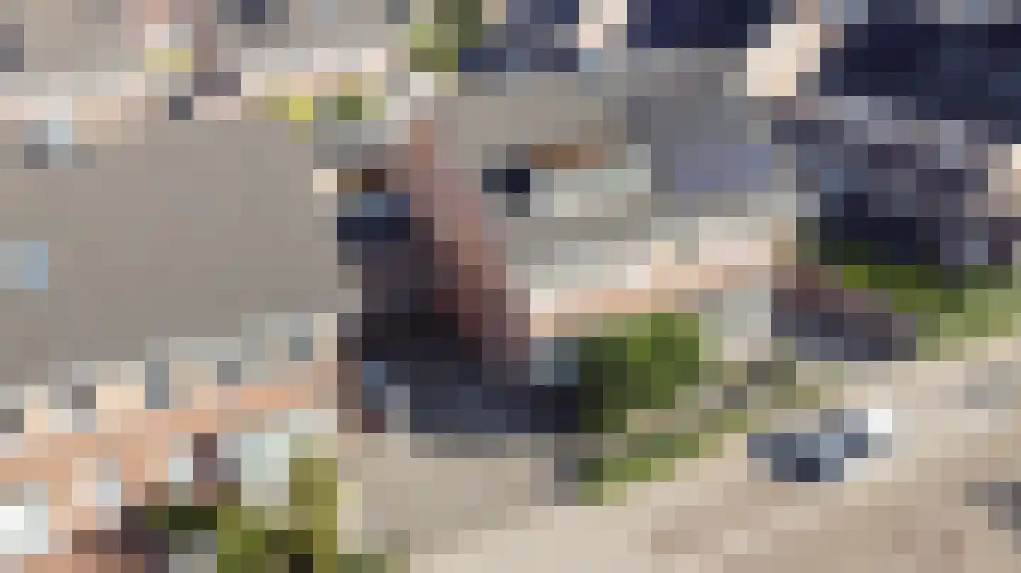 Aardbeivlinder 125 Tiel thumbnail 53