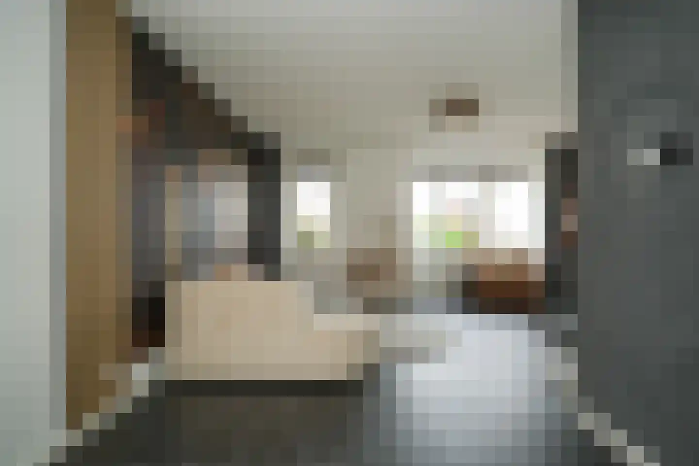 Aardbeivlinder 133 Tiel thumbnail 10