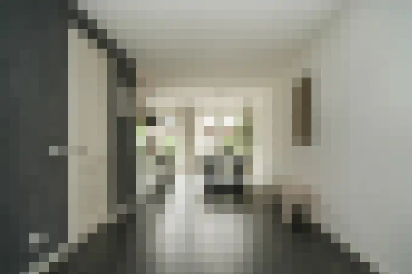 Aardbeivlinder 133 Tiel thumbnail 20