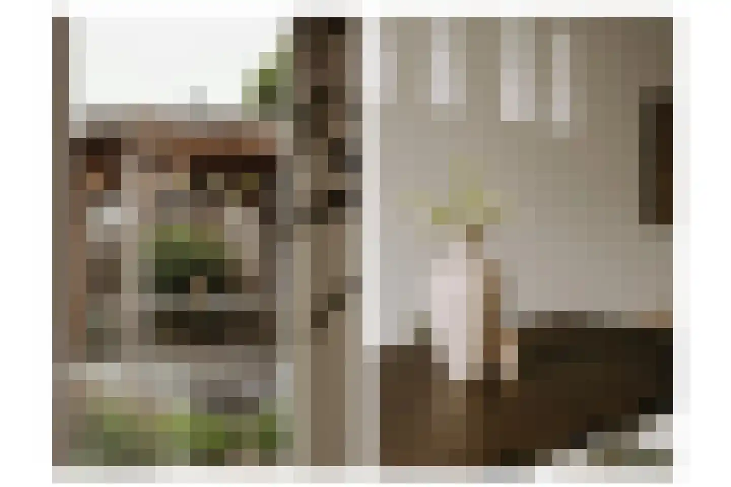Aardbeivlinder 133 Tiel thumbnail 24