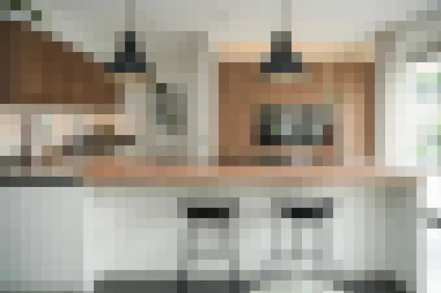 Aardbeivlinder 133 Tiel thumbnail 25
