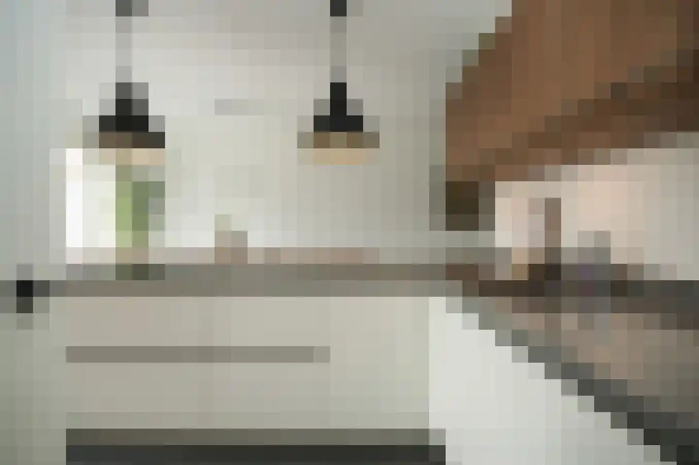 Aardbeivlinder 133 Tiel thumbnail 29