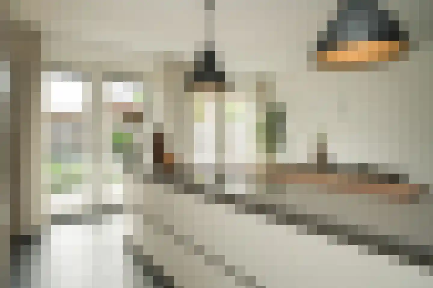Aardbeivlinder 133 Tiel thumbnail 30