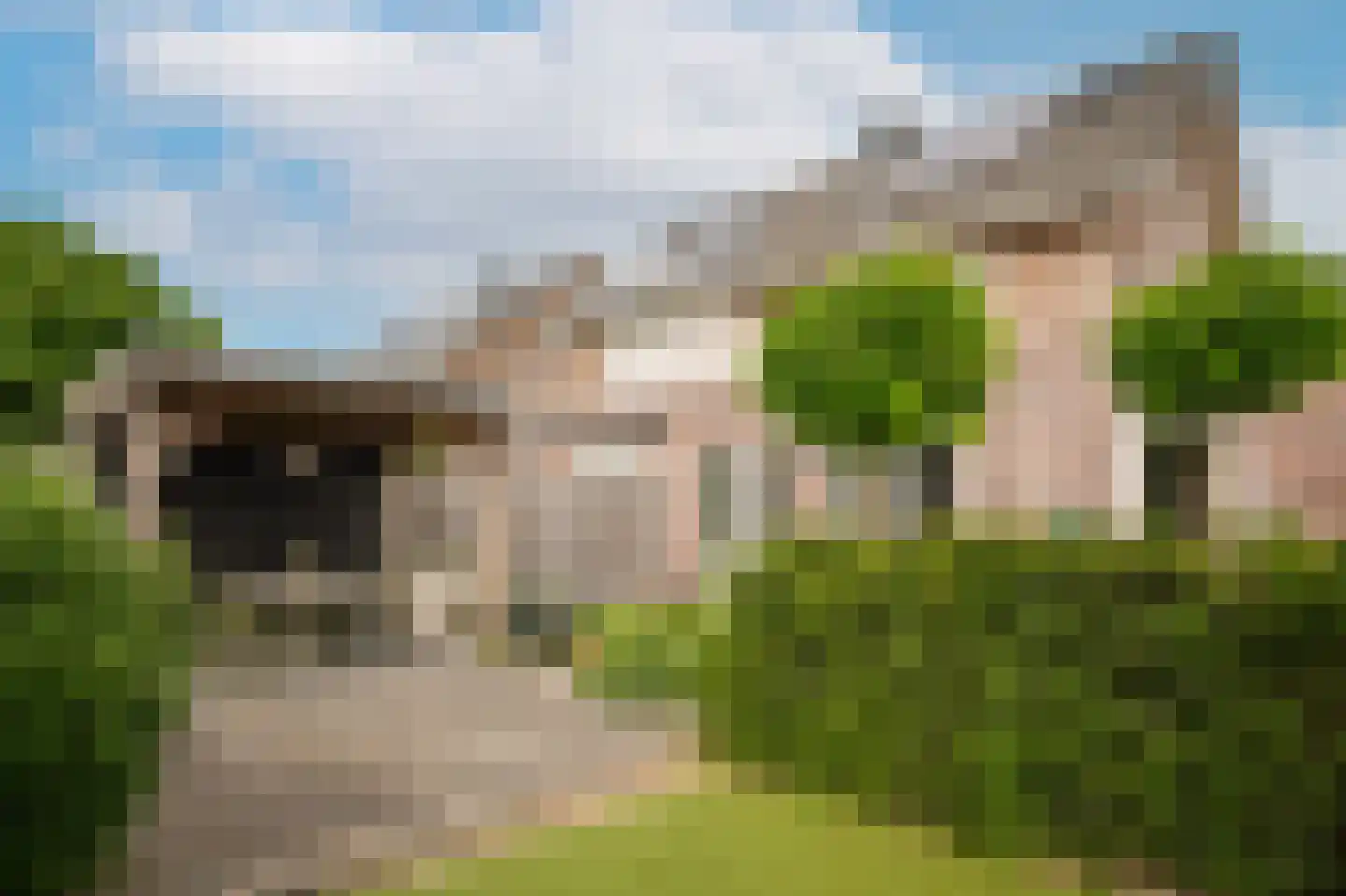 Aardbeivlinder 133 Tiel thumbnail 35