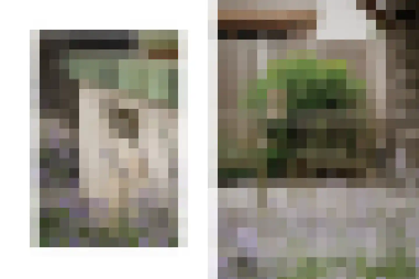 Aardbeivlinder 133 Tiel thumbnail 38
