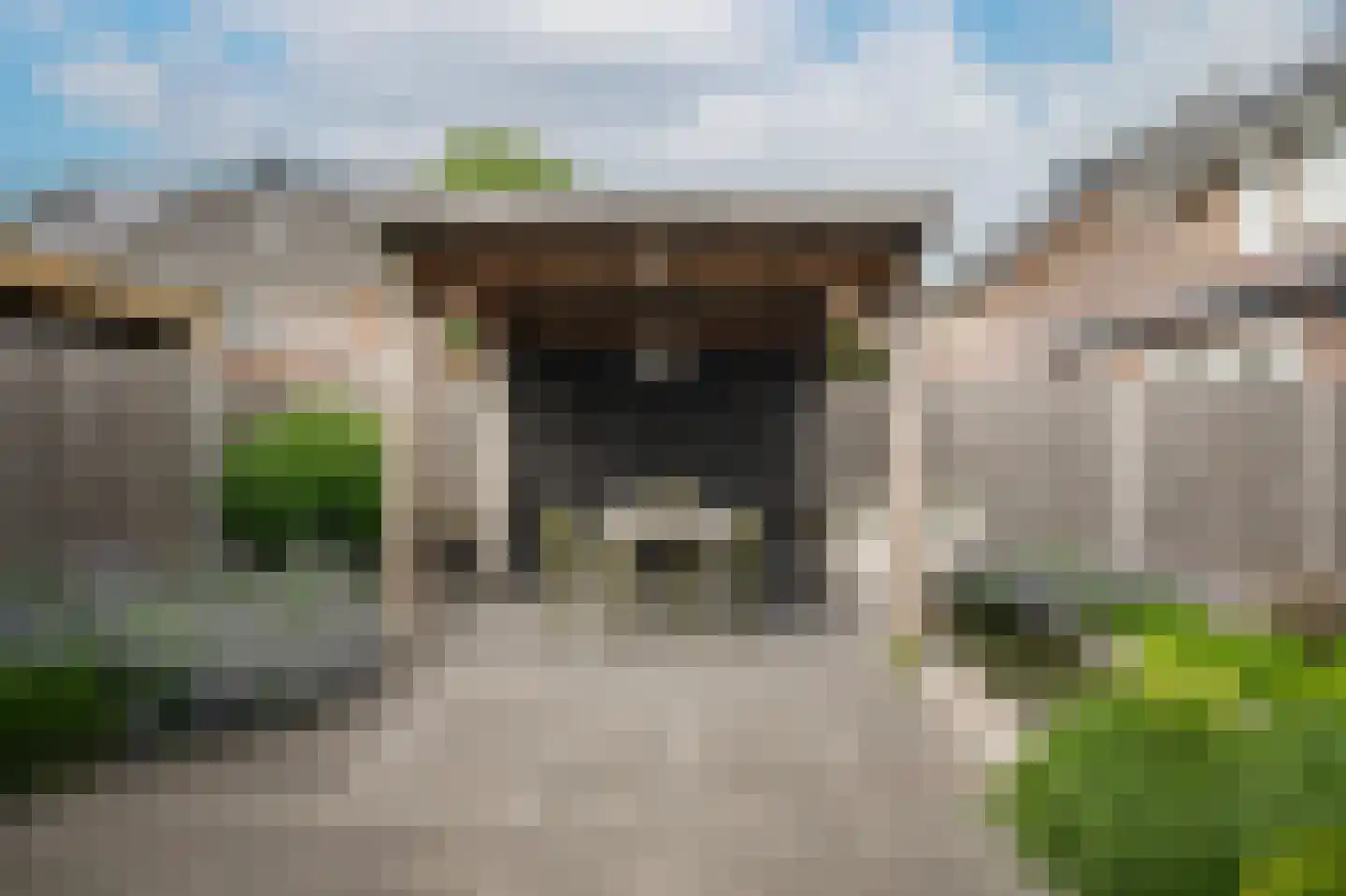 Aardbeivlinder 133 Tiel thumbnail 39