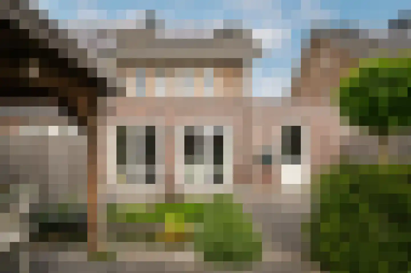 Aardbeivlinder 133 Tiel thumbnail 40