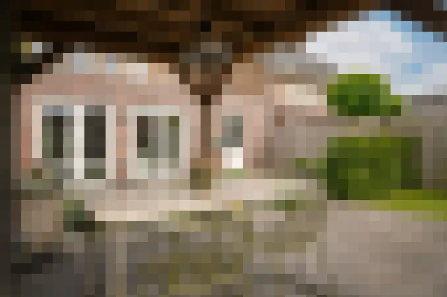 Aardbeivlinder 133 Tiel thumbnail 41