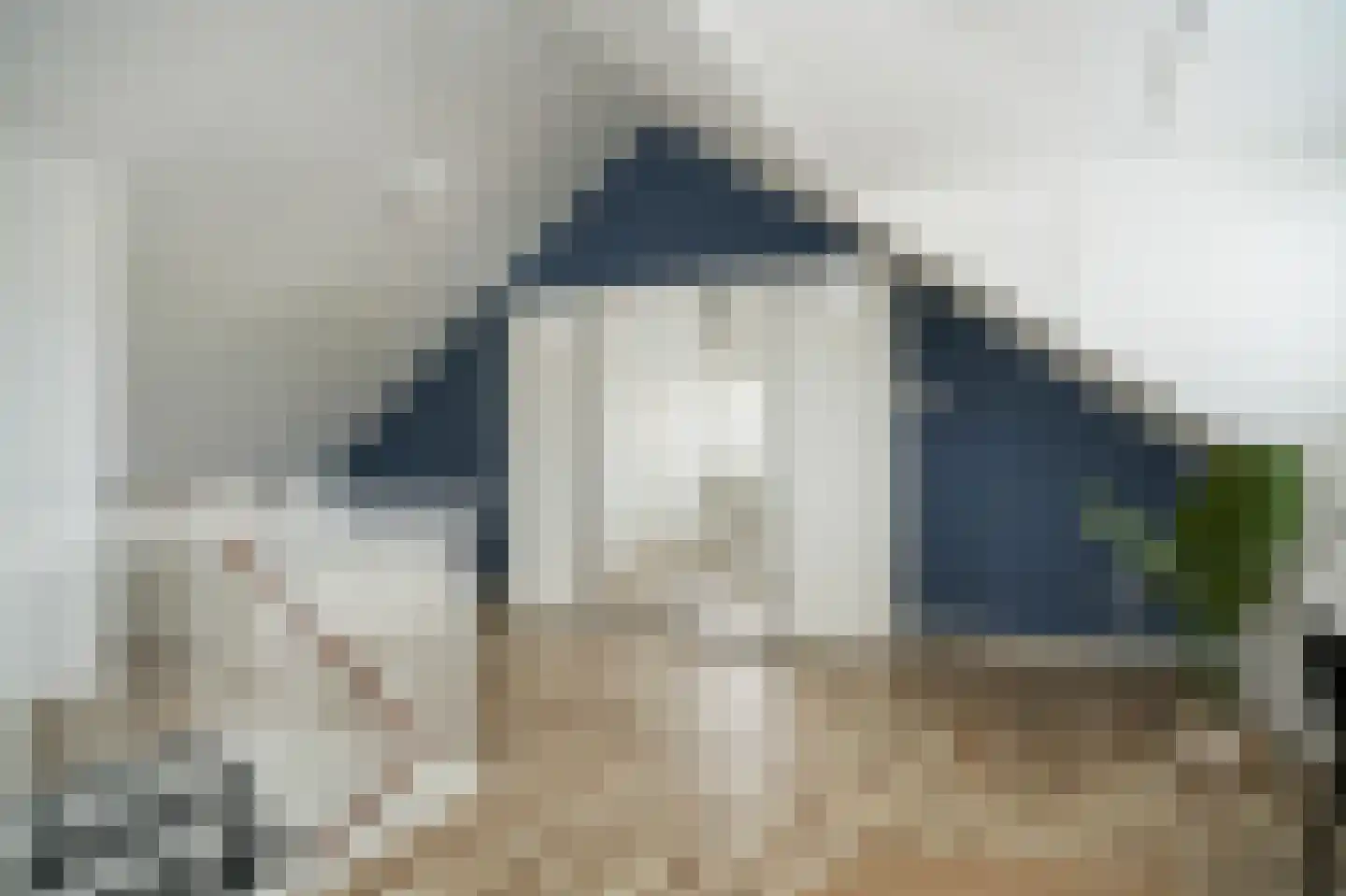 Aardbeivlinder 133 Tiel thumbnail 55