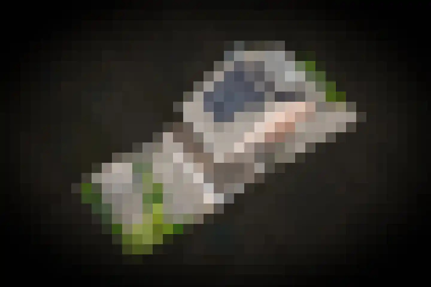 Aardbeivlinder 133 Tiel thumbnail 61