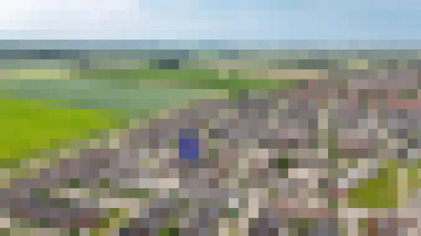 Aardbeivlinder 133 Tiel thumbnail 62