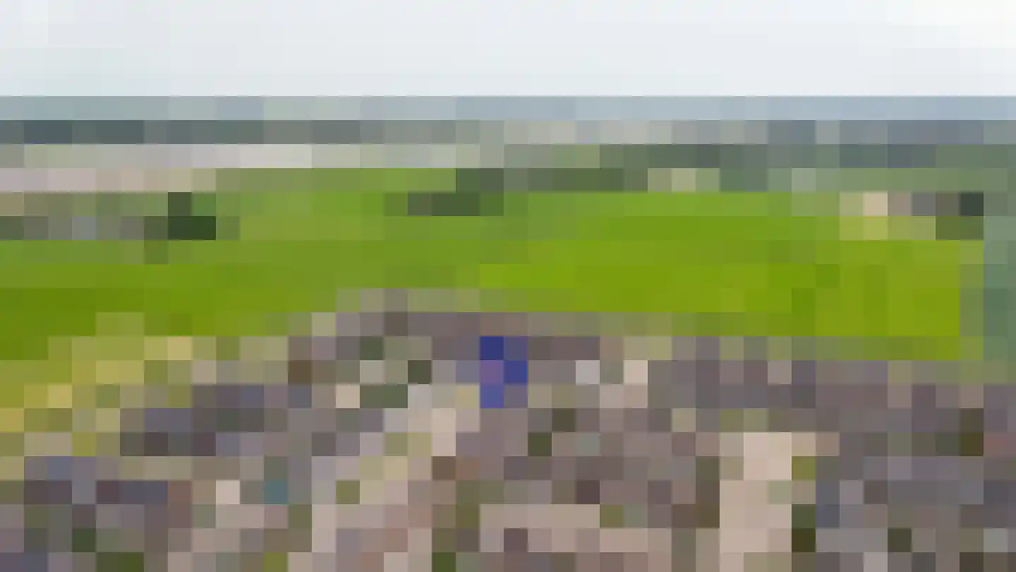Aardbeivlinder 133 Tiel thumbnail 63