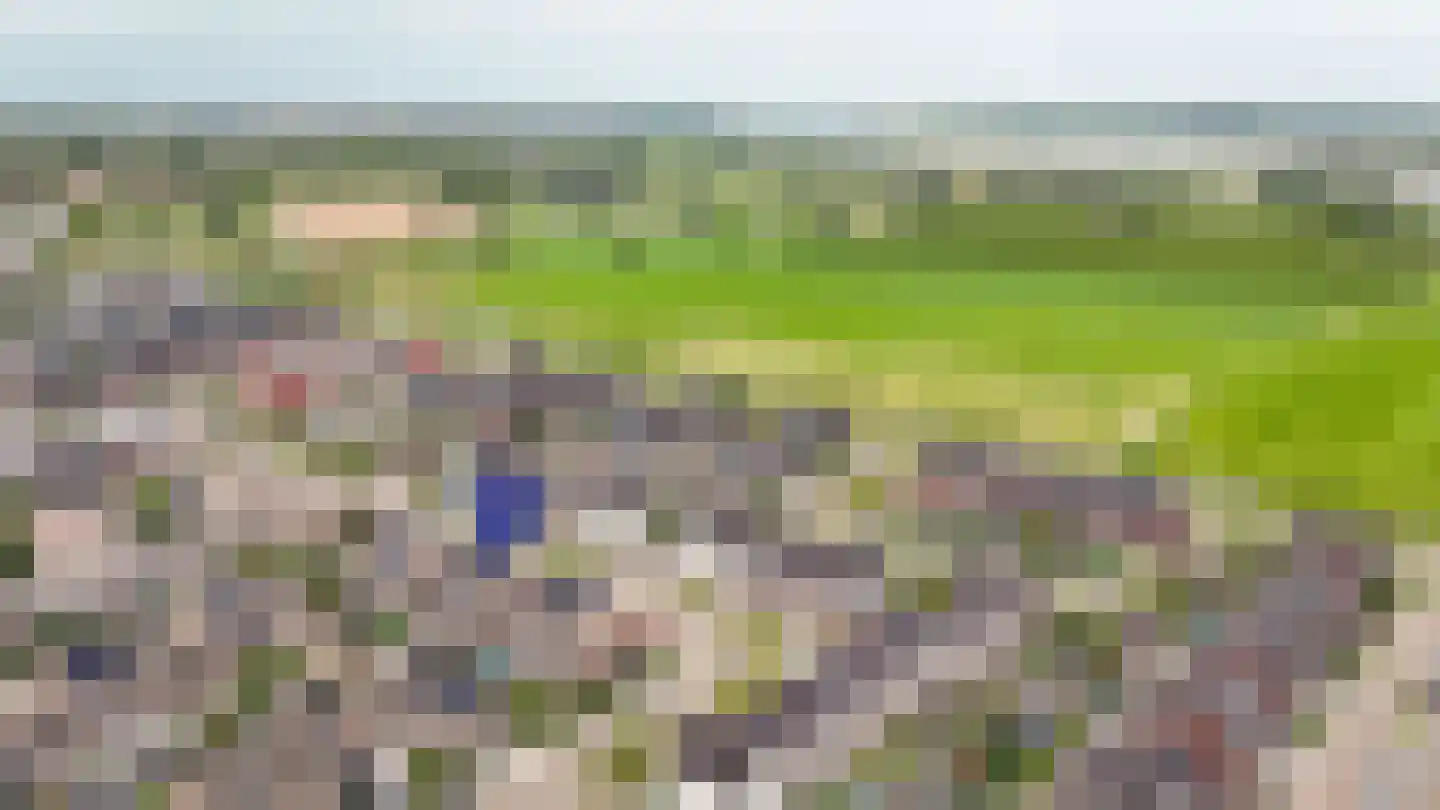 Aardbeivlinder 133 Tiel thumbnail 64