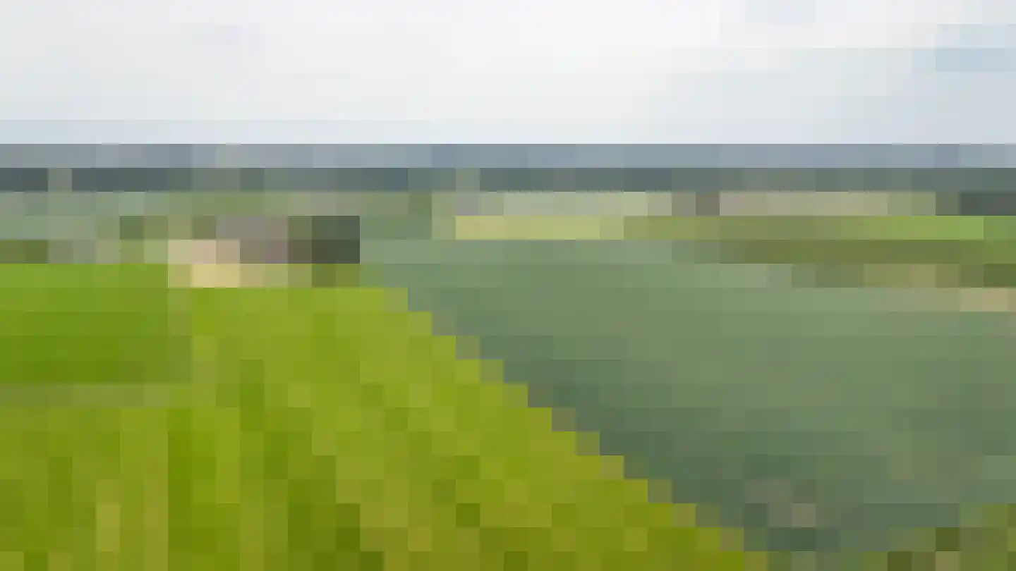 Aardbeivlinder 133 Tiel thumbnail 65