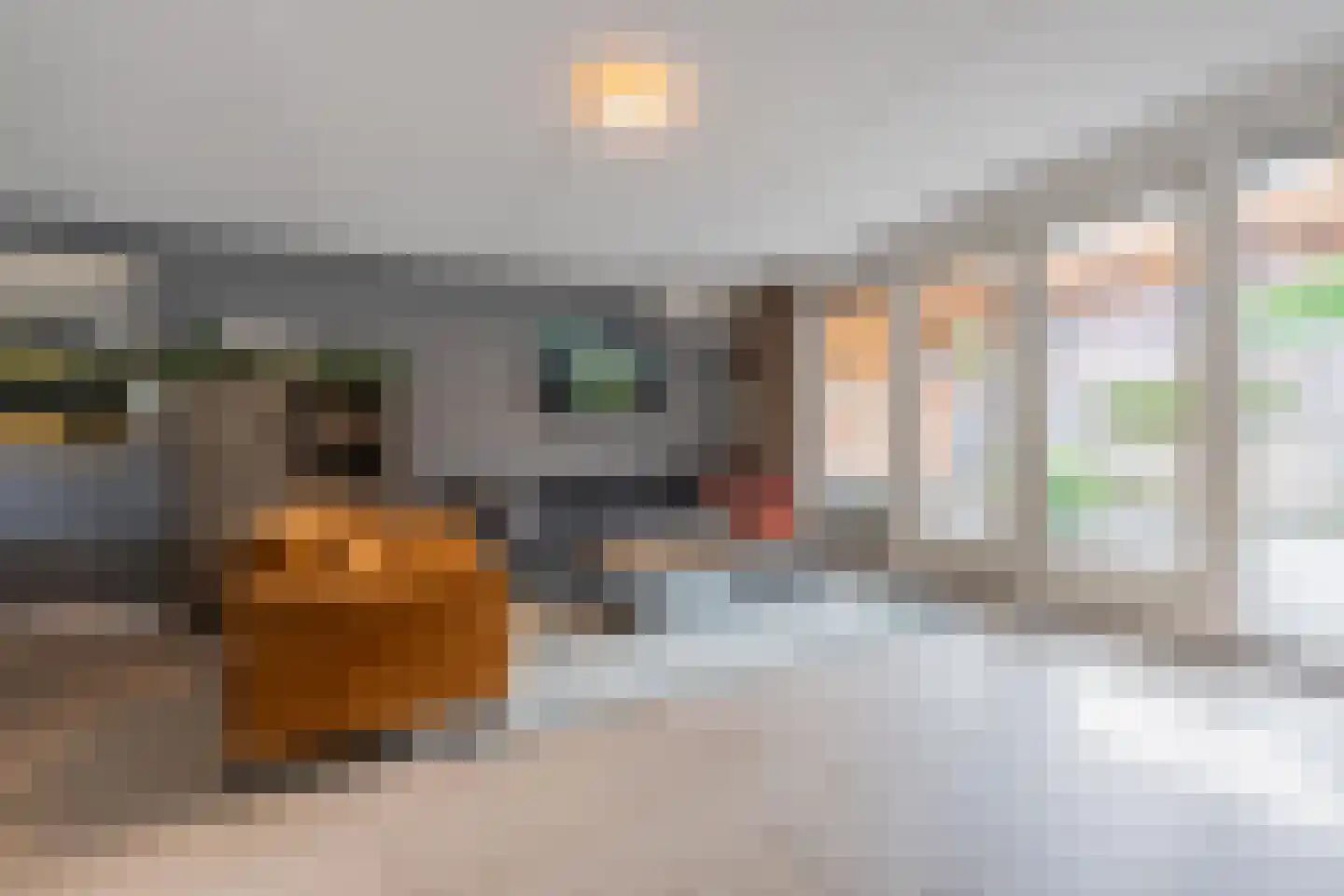 Aardbeivlinder 178 Tiel thumbnail 16