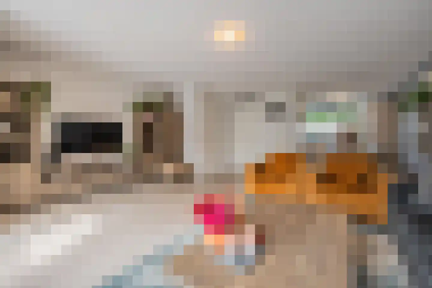 Aardbeivlinder 178 Tiel thumbnail 18
