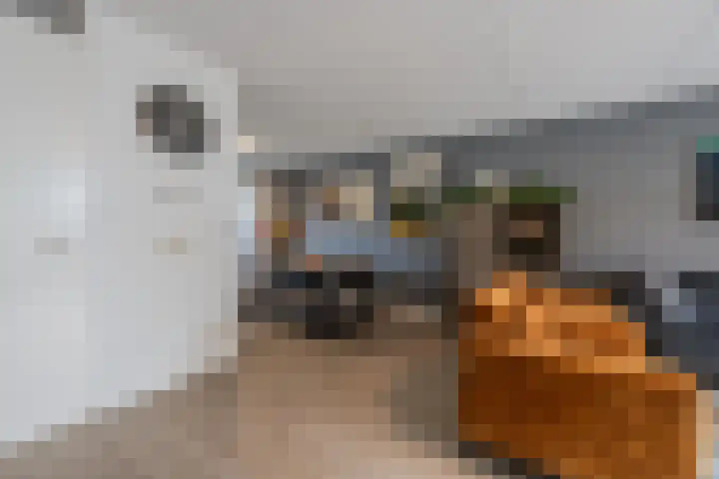 Aardbeivlinder 178 Tiel thumbnail 20
