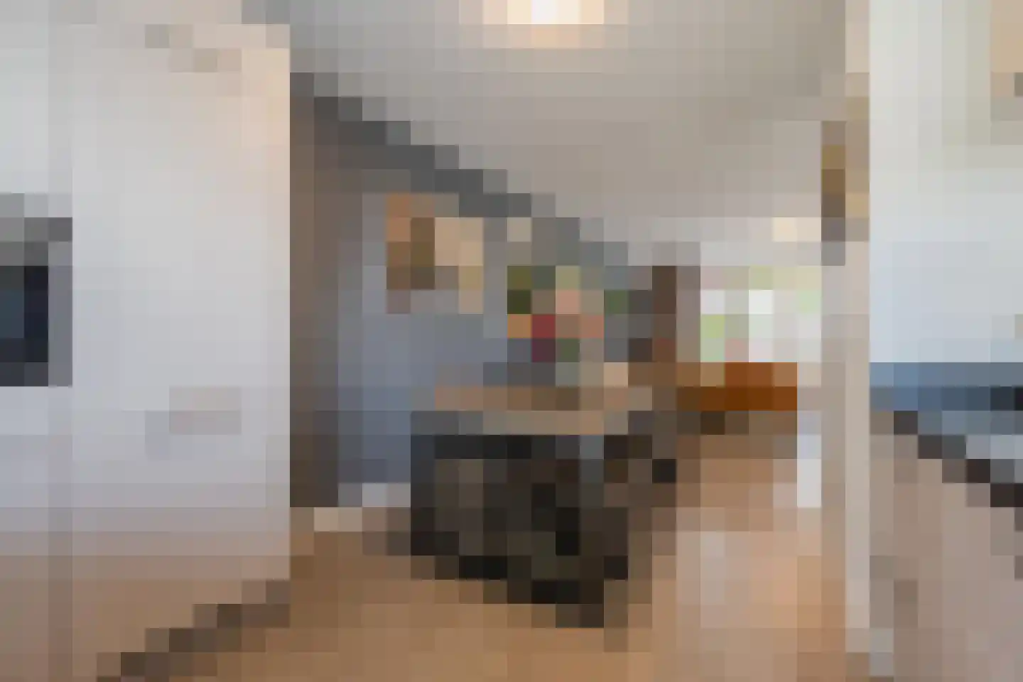 Aardbeivlinder 178 Tiel thumbnail 27