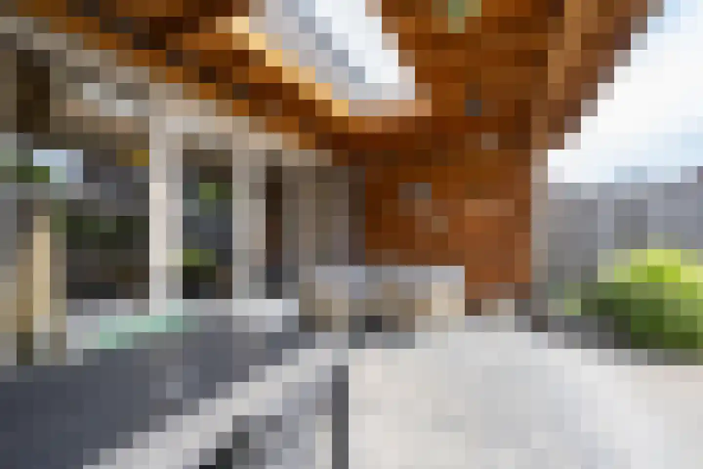 Aardbeivlinder 178 Tiel thumbnail 29