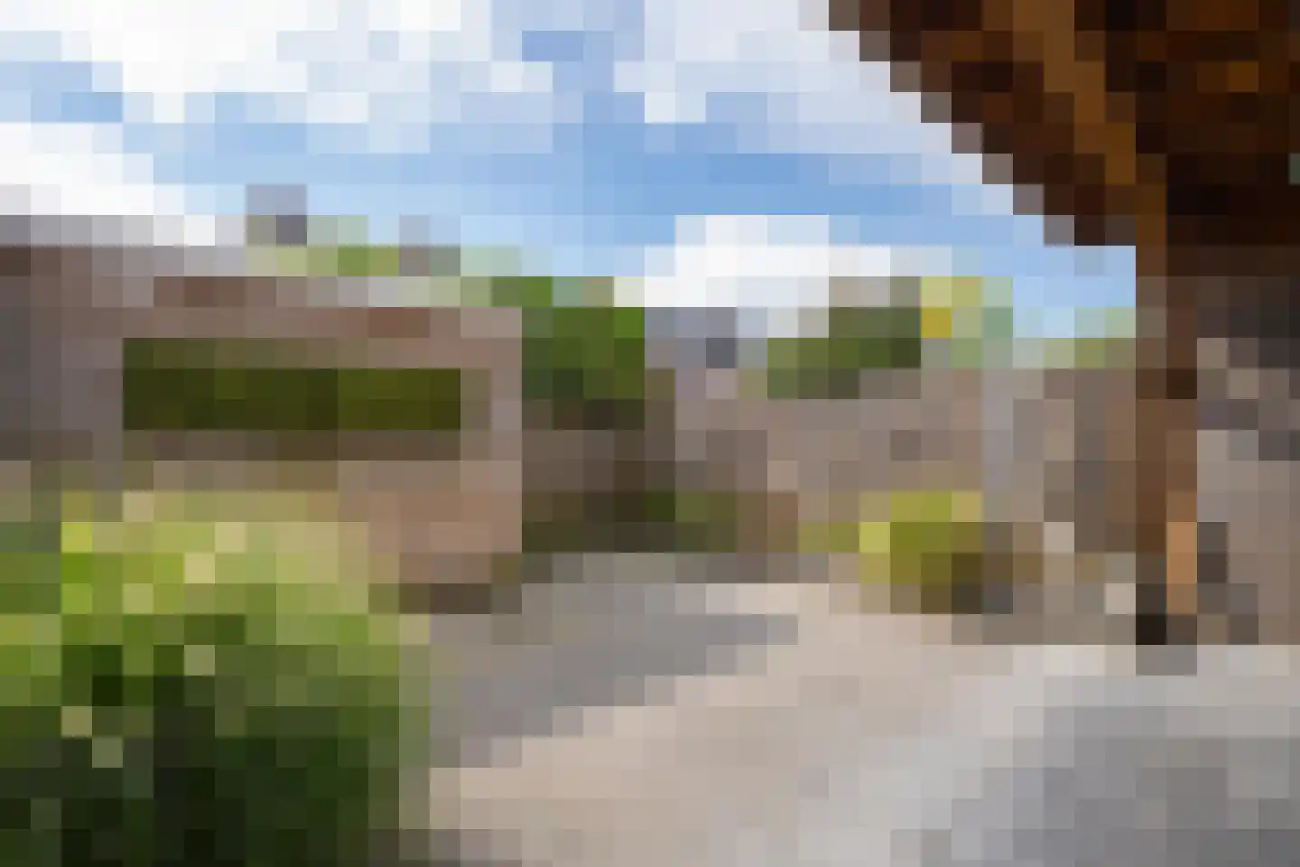 Aardbeivlinder 178 Tiel thumbnail 32