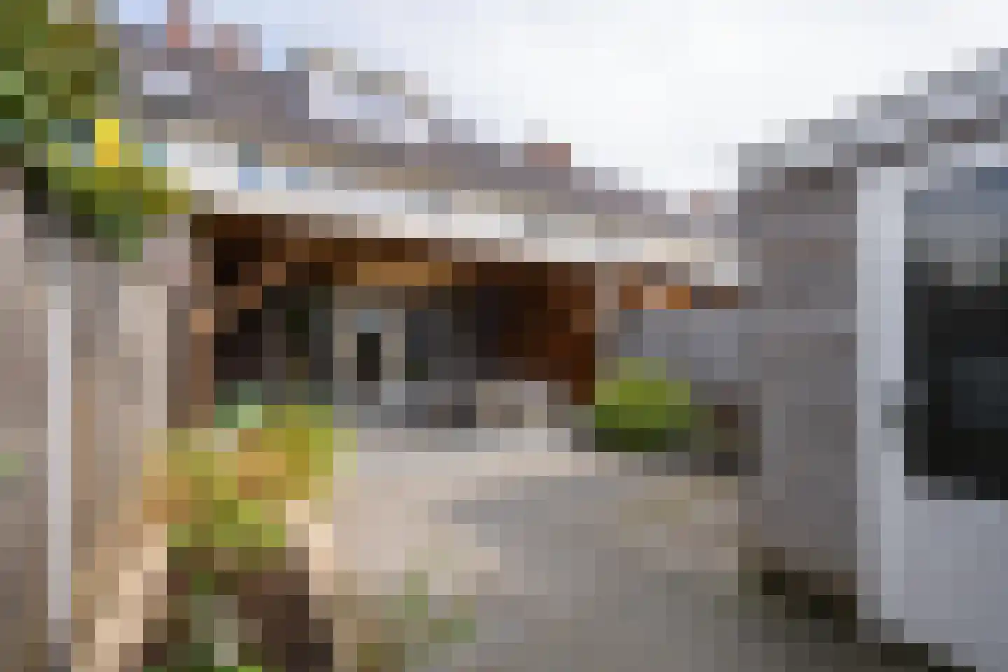 Aardbeivlinder 178 Tiel thumbnail 4