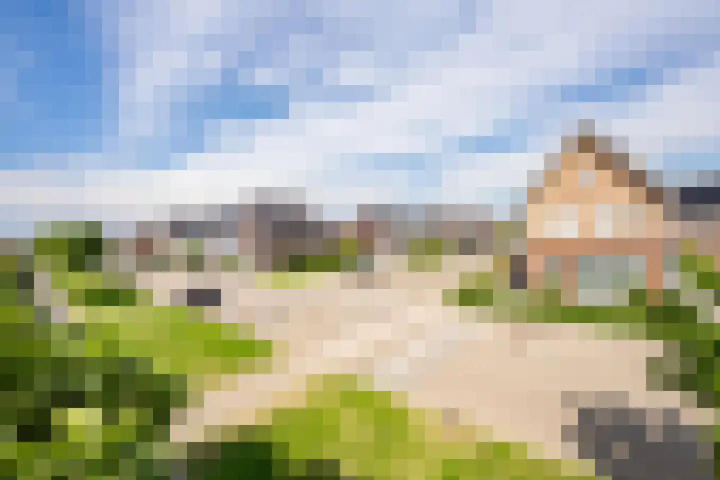 Aardbeivlinder 178 Tiel thumbnail 7