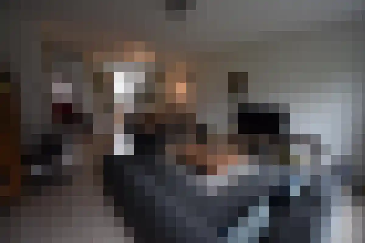 Aardbeivlinder 196 Tiel thumbnail 6