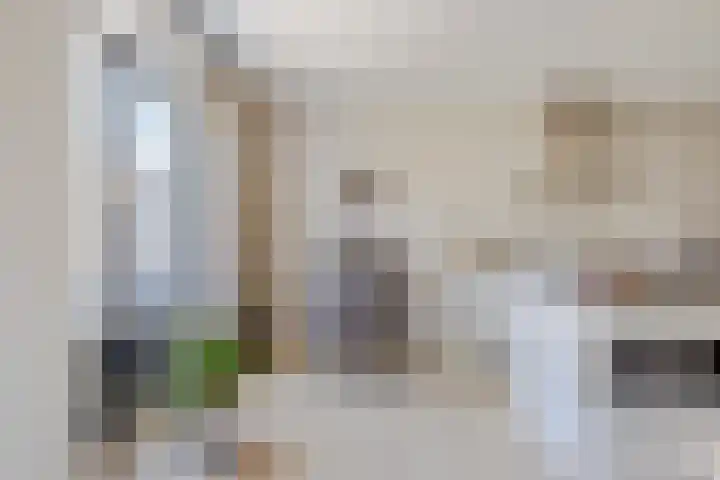 Aardbeivlinder 24 Helmond thumbnail 13