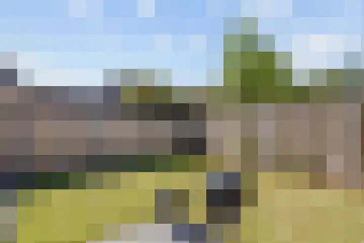 Aardbeivlinder 24 Helmond thumbnail 16