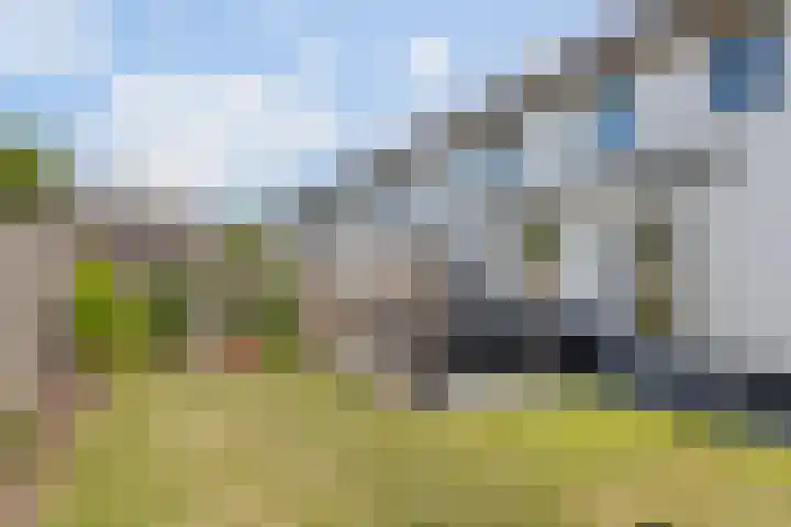 Aardbeivlinder 24 Helmond thumbnail 17