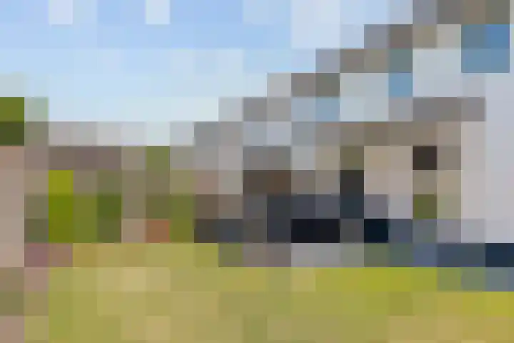 Aardbeivlinder 24 Helmond thumbnail 18