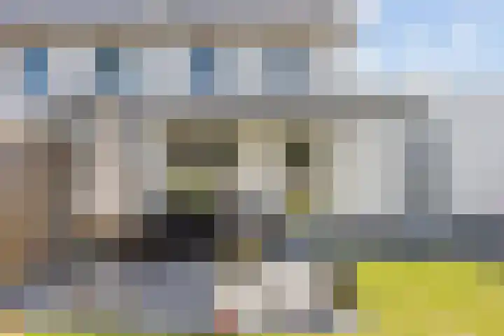 Aardbeivlinder 24 Helmond thumbnail 19