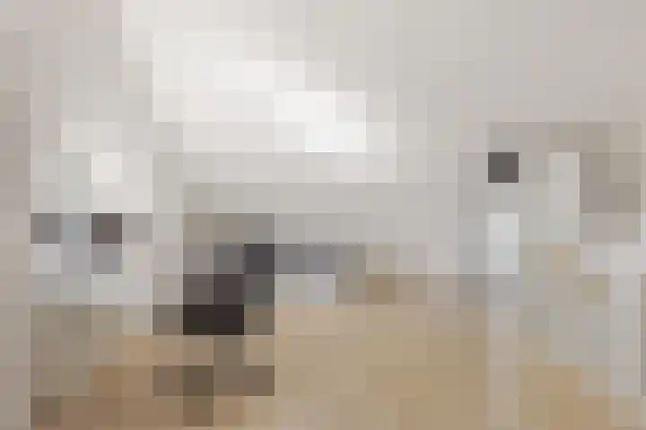 Aardbeivlinder 24 Helmond thumbnail 33
