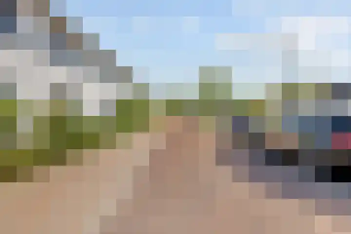 Aardbeivlinder 24 Helmond thumbnail 35