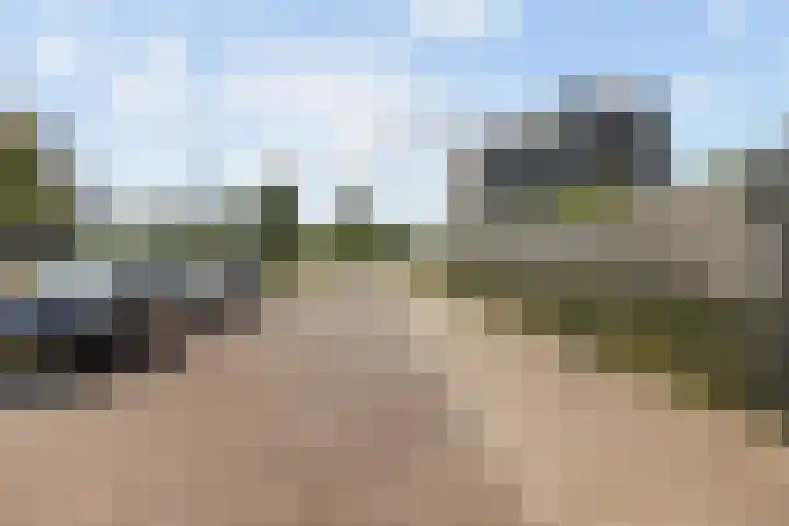 Aardbeivlinder 24 Helmond thumbnail 36