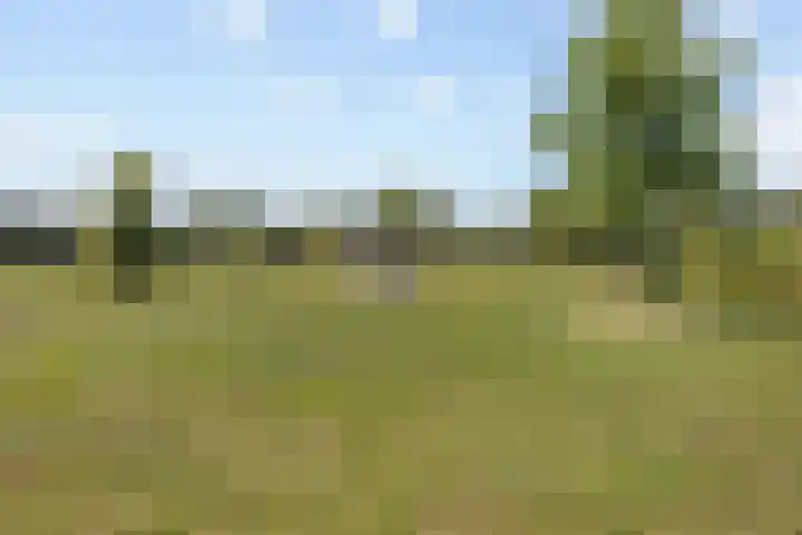 Aardbeivlinder 24 Helmond thumbnail 37