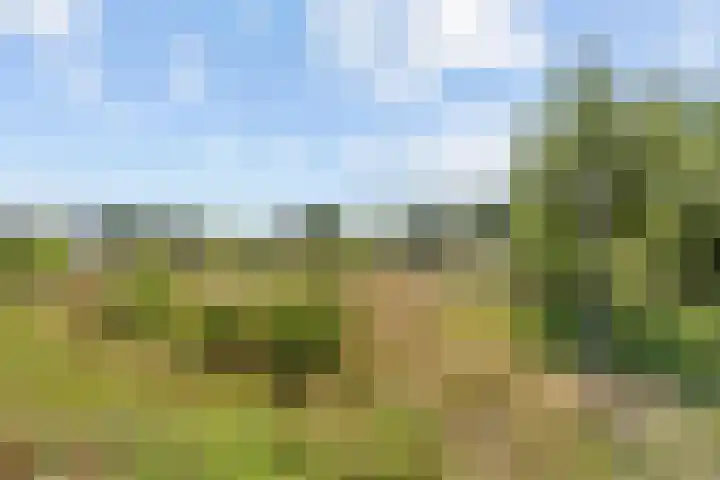 Aardbeivlinder 24 Helmond thumbnail 39