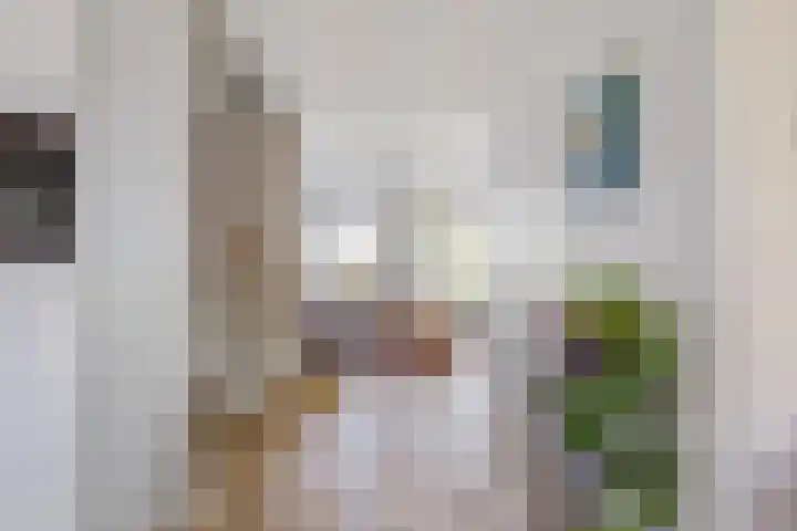 Aardbeivlinder 24 Helmond thumbnail 7