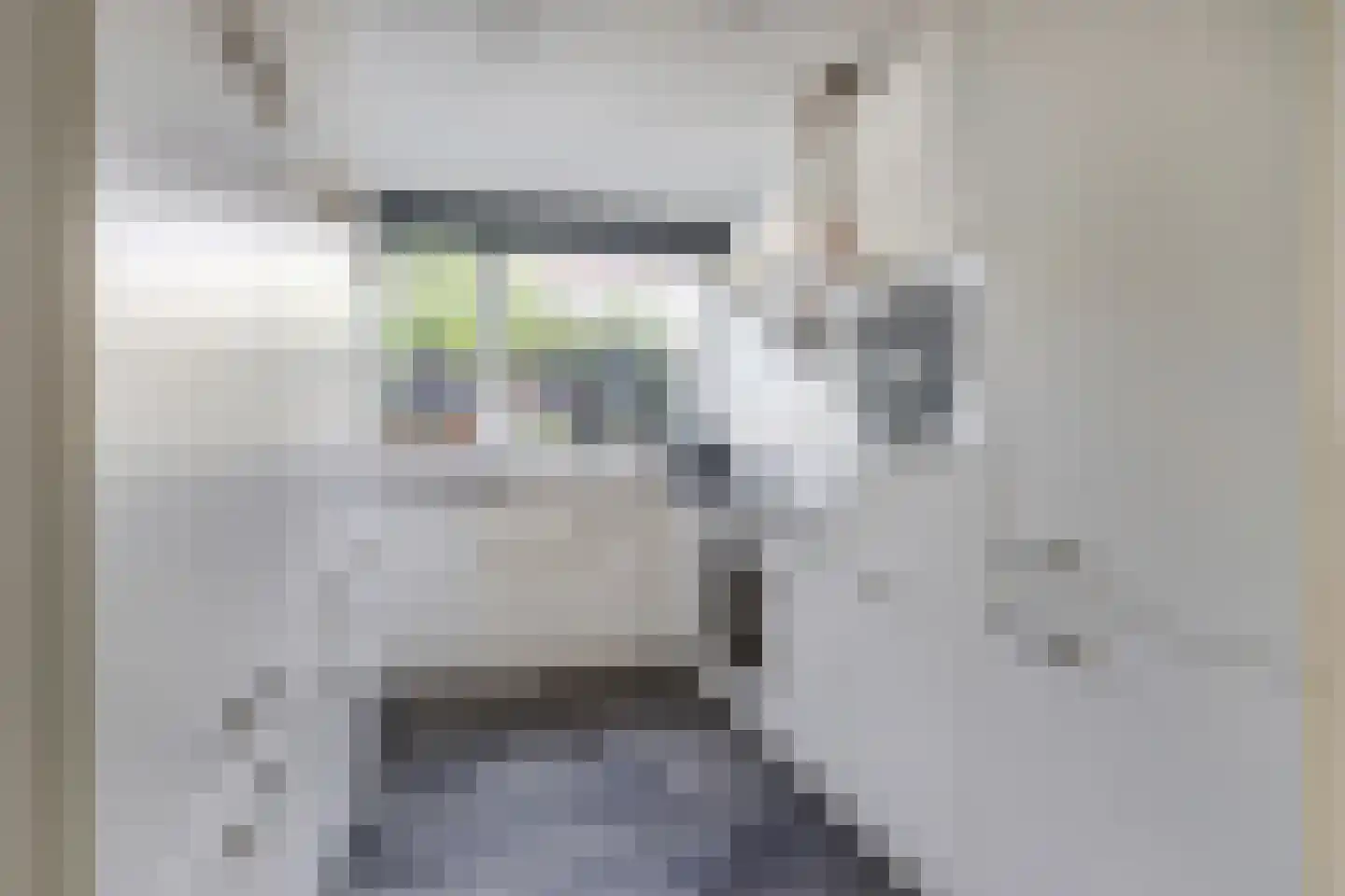 Aardbeivlinder 31 Tiel thumbnail 11