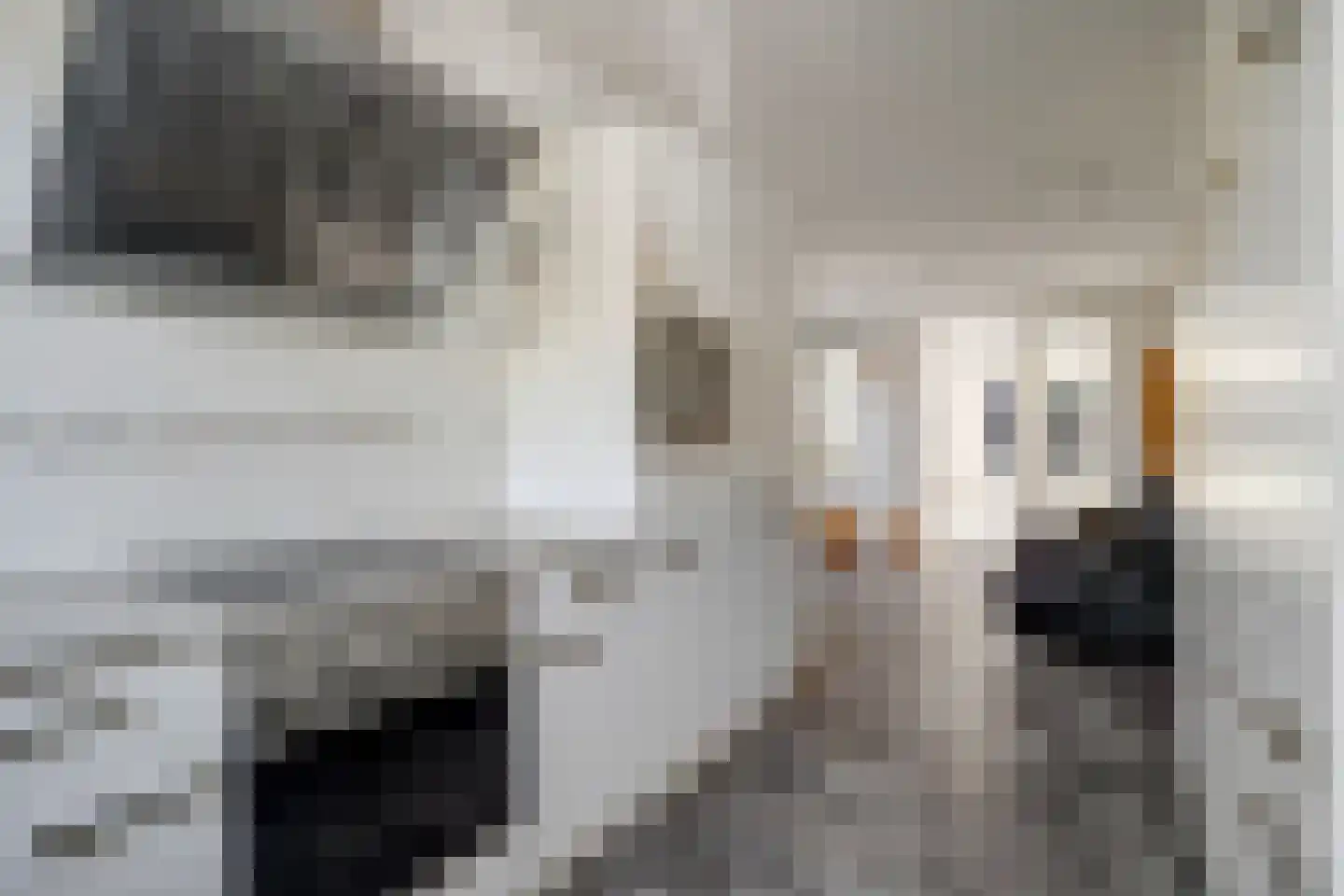 Aardbeivlinder 31 Tiel thumbnail 12